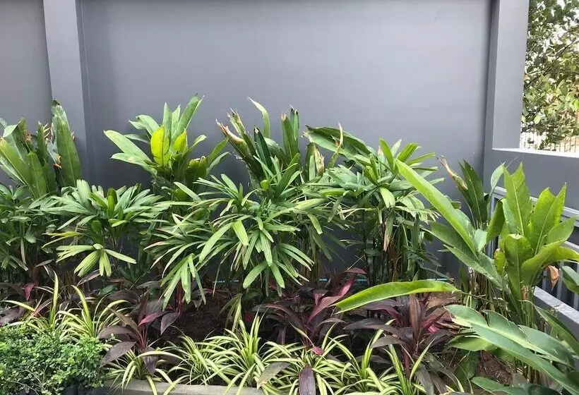 هتل Chom Chao City