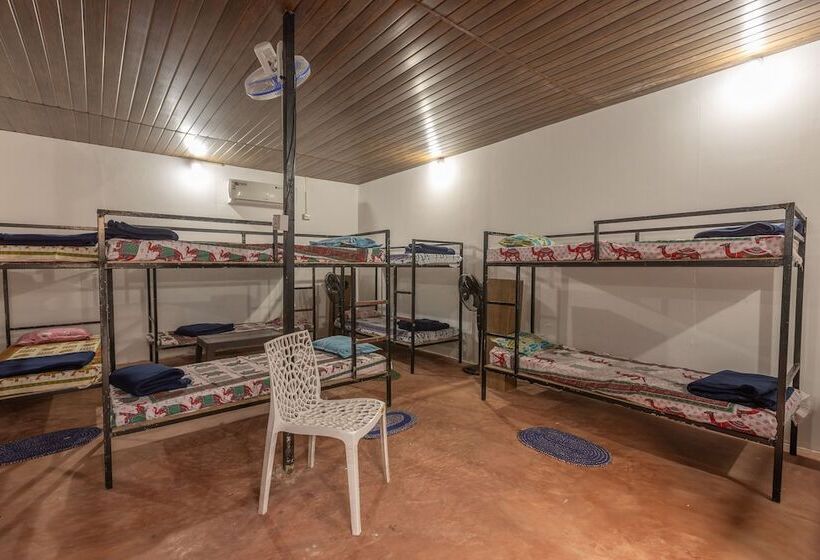 호텔 Moonlight Resorts Agonda