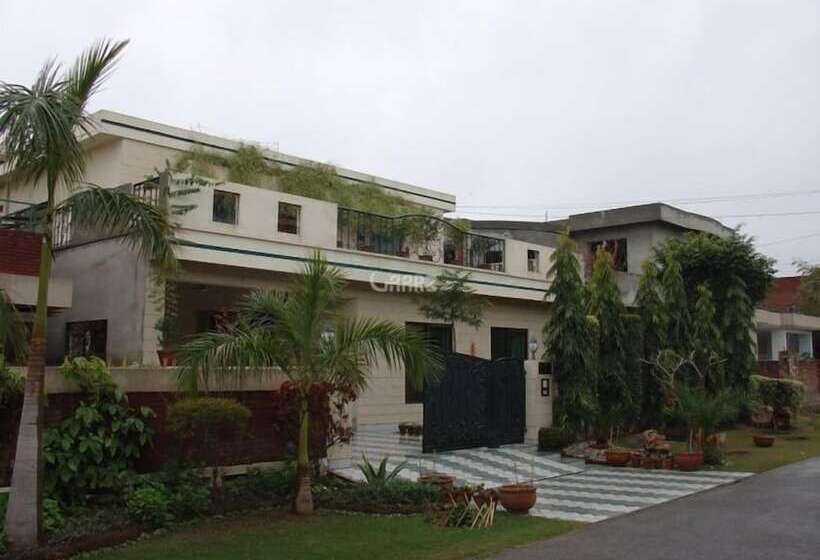 هتل Daily Hostel &