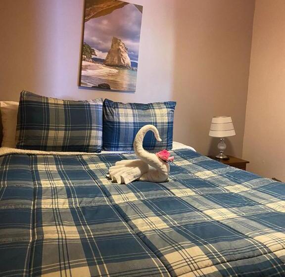 هتل Katarsy´s Hostel