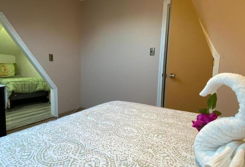 هتل Katarsy´s Hostel