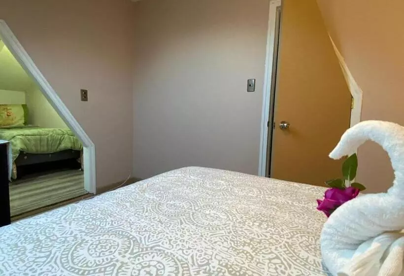 هتل Katarsy´s Hostel