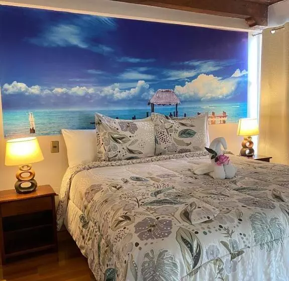 هتل Katarsy´s Hostel