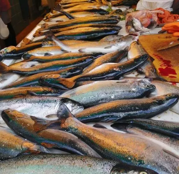 ホテル Urosfood & Titiqaqa Lodge