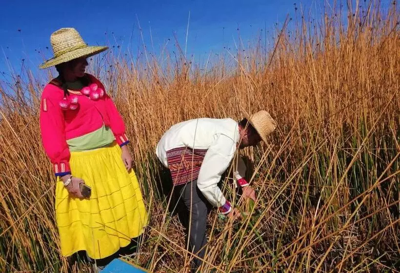 ホテル Urosfood & Titiqaqa Lodge