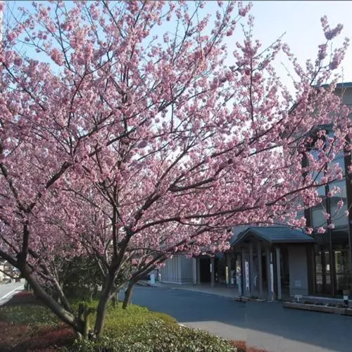 Hotelli Isawa No Sato