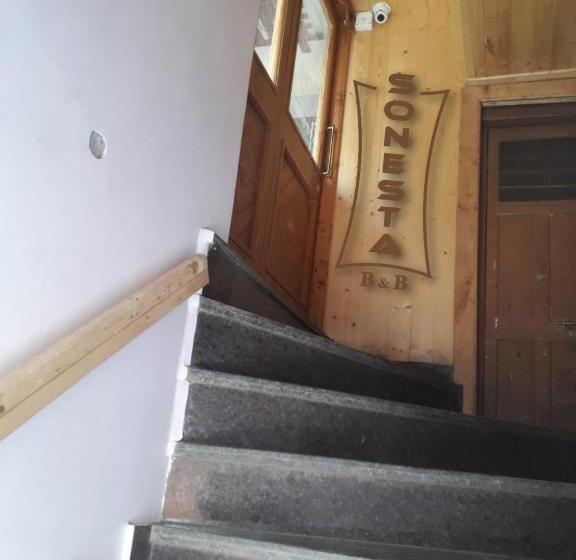 Sonesta B&b