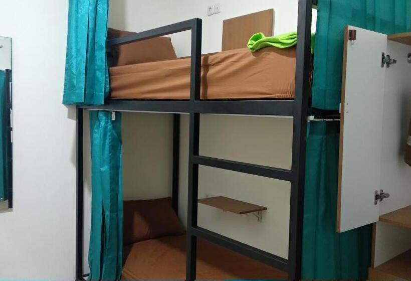 فندق صغير Anjuma Backpacker