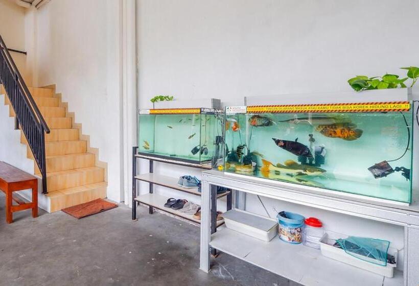 فندق صغير Anjuma Backpacker