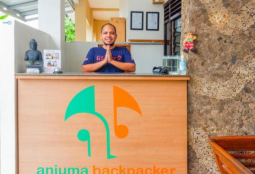 فندق صغير Anjuma Backpacker