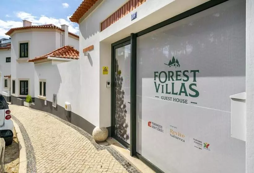 هاستل Forest Villas   Guest House