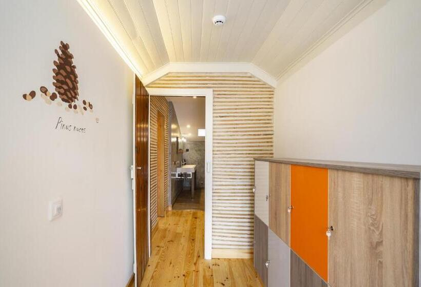 فندق صغير Forest Villas   Guest House