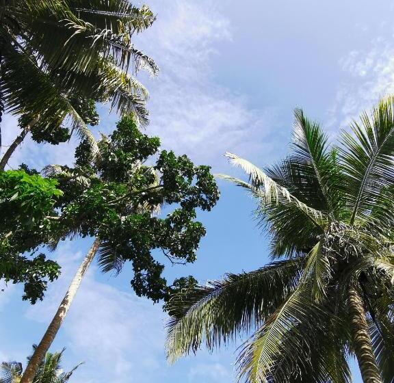 مبيت وإفطار Back Yard Madiha Restaurant And Rooms