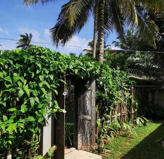 Aamiaismajoitus (B&B) Back Yard Madiha   Restaurant And Rooms