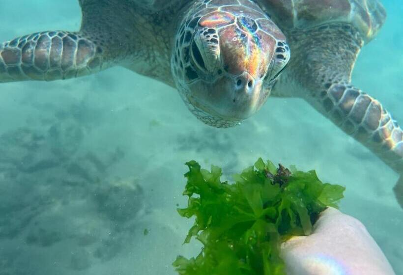 Bed and Breakfast E Seven House