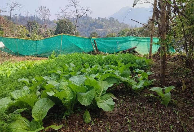 هتل Lekhnath View Tower