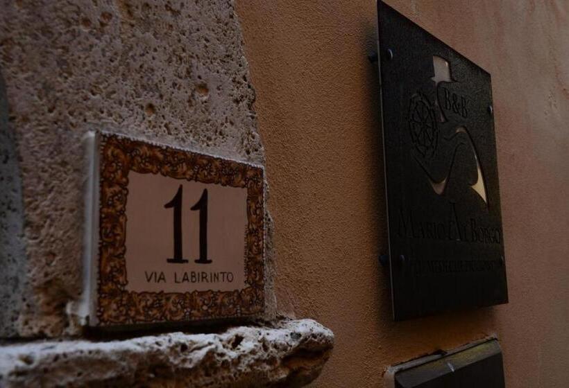 膳宿费 Mario Al Borgo