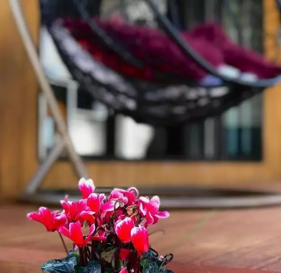 Majatalo Onehunga Garden Tinyhouse With Parking