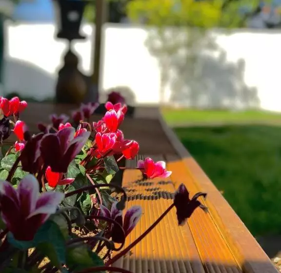 Majatalo Onehunga Garden Tinyhouse With Parking