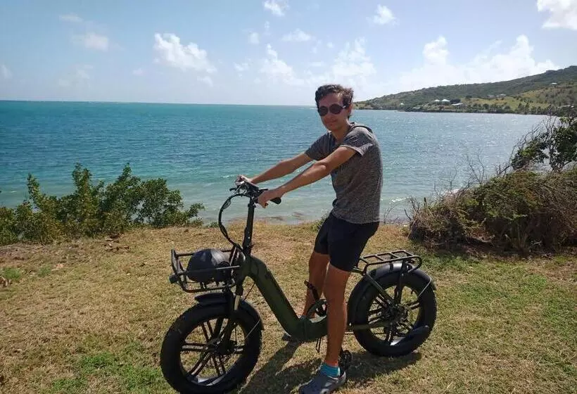 استراحتگاه Crawlbay Suites