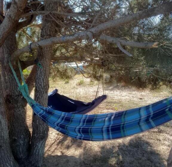 Общежитие Vida Playera