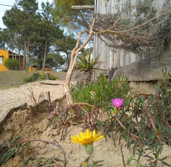 Общежитие Vida Playera