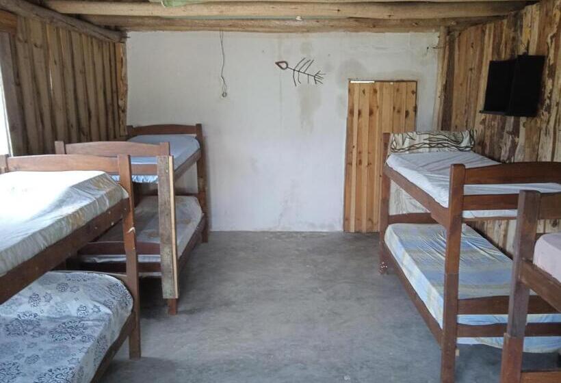 Общежитие Vida Playera