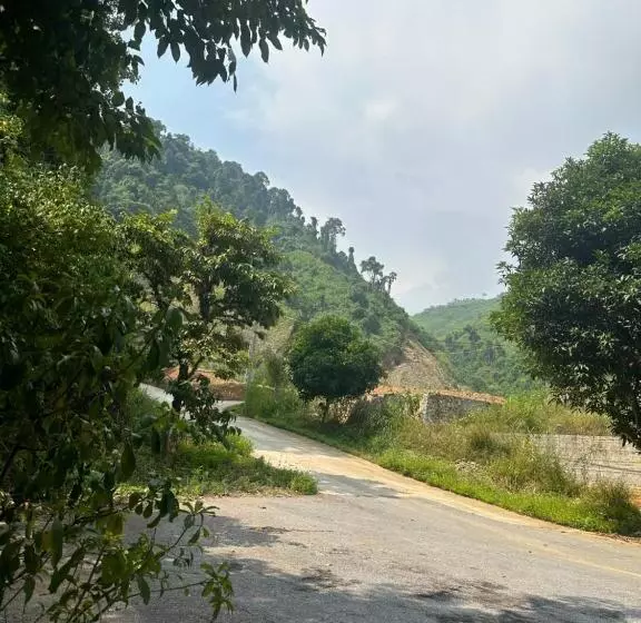 تختخواب و صبحانه Wind S House Ha Giang