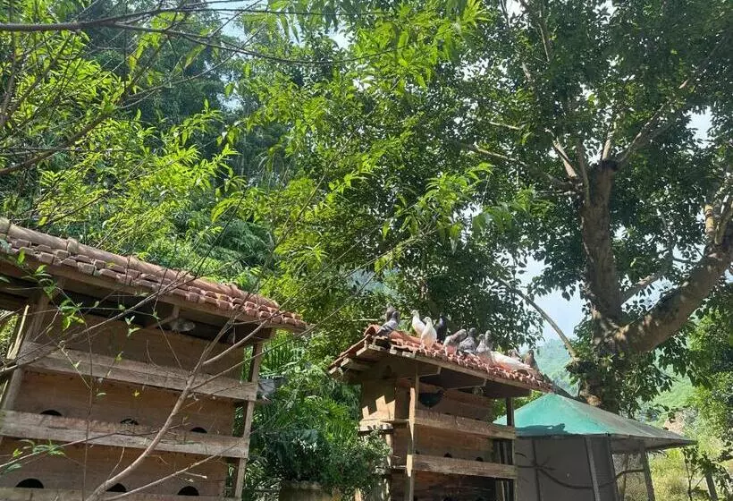 تختخواب و صبحانه Wind S House Ha Giang