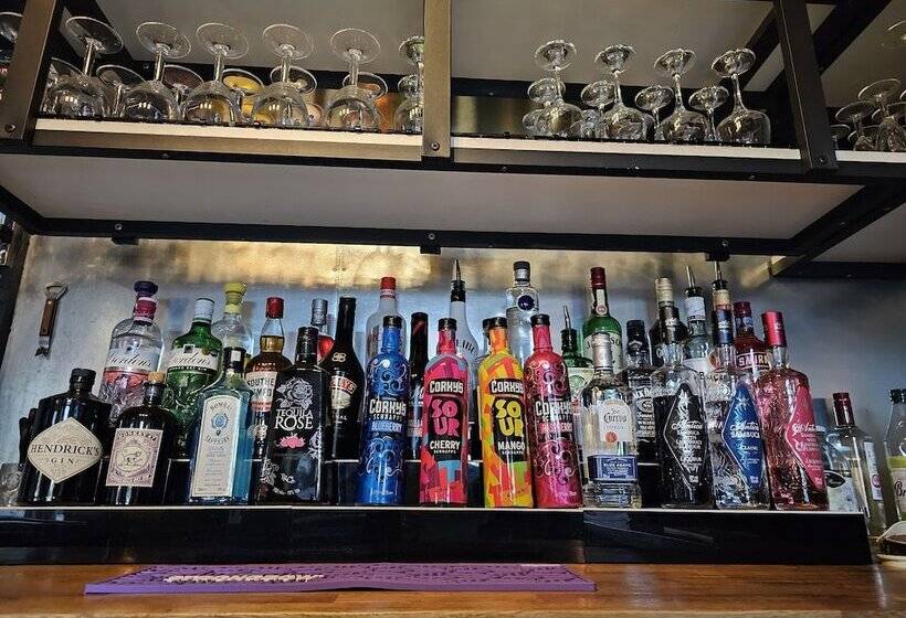 בית מלון כפרי Dog And Partridge Inn