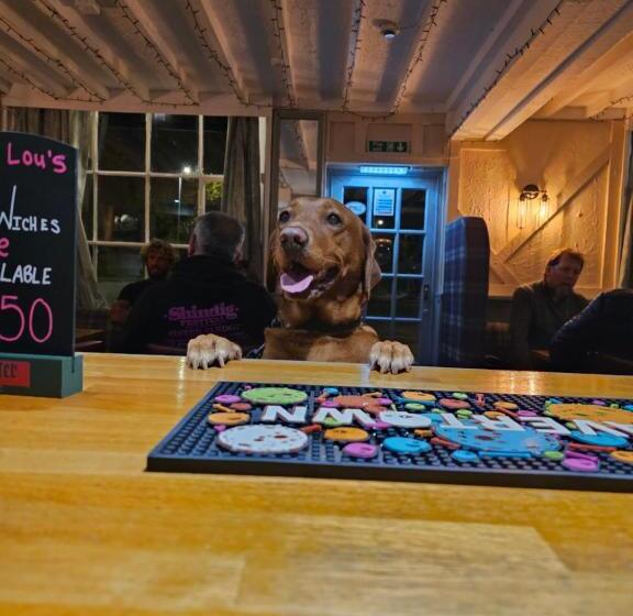 בית מלון כפרי Dog And Partridge Inn