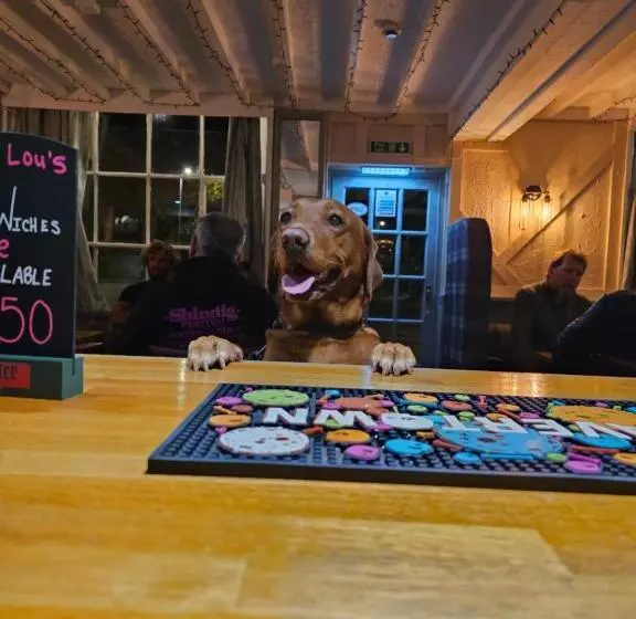 Hotelli Dog And Partridge Inn