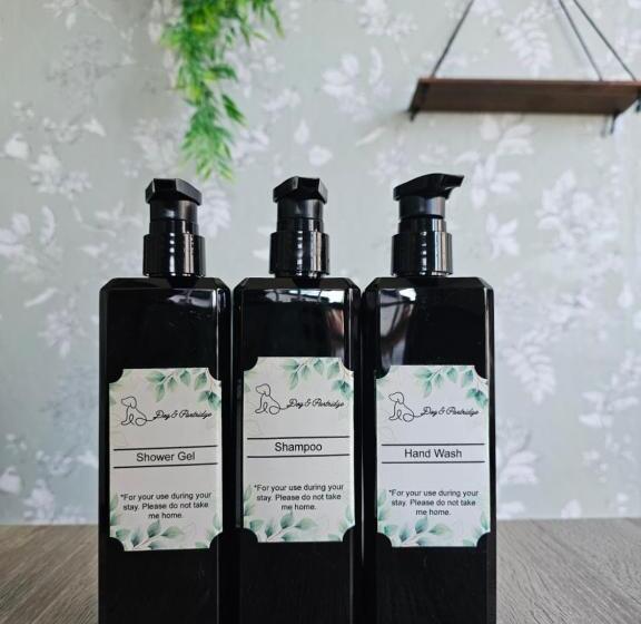 בית מלון כפרי Dog And Partridge Inn