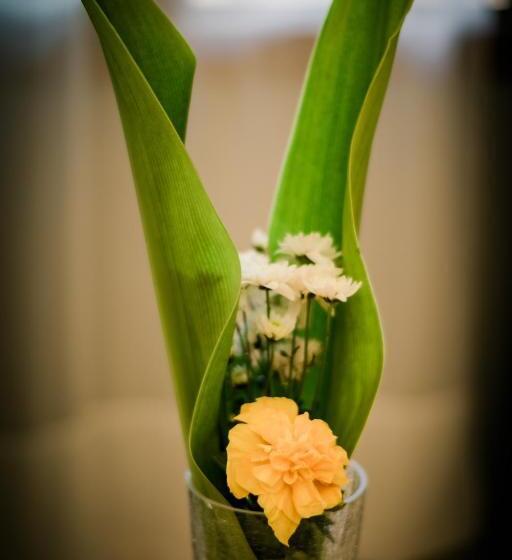 בית מלון כפרי Domiya Estate Ltd