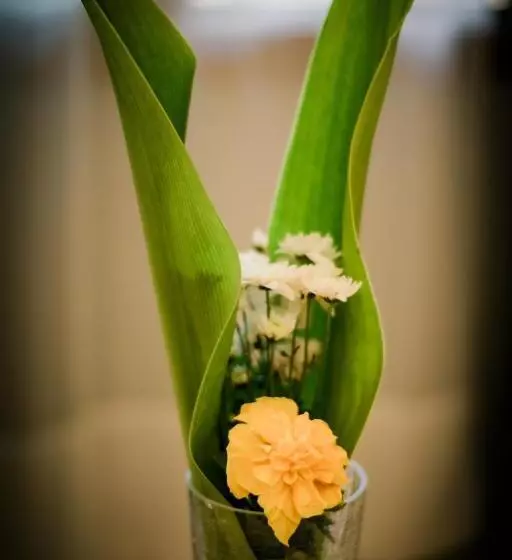 ホテル Domiya Estate Ltd