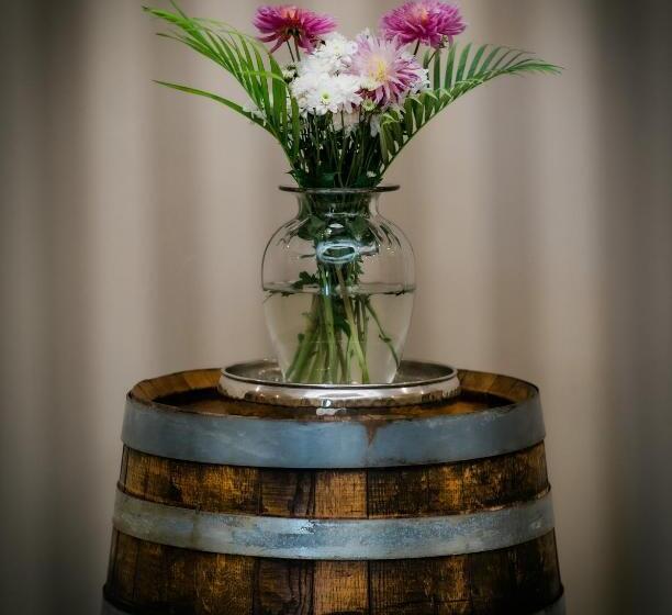 בית מלון כפרי Domiya Estate Ltd