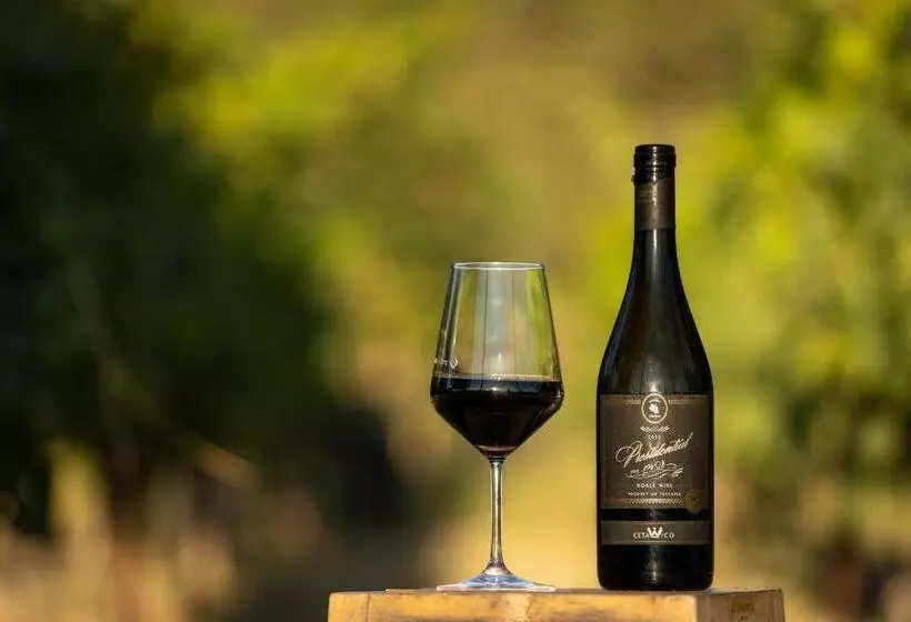 ホテル Domiya Estate Ltd