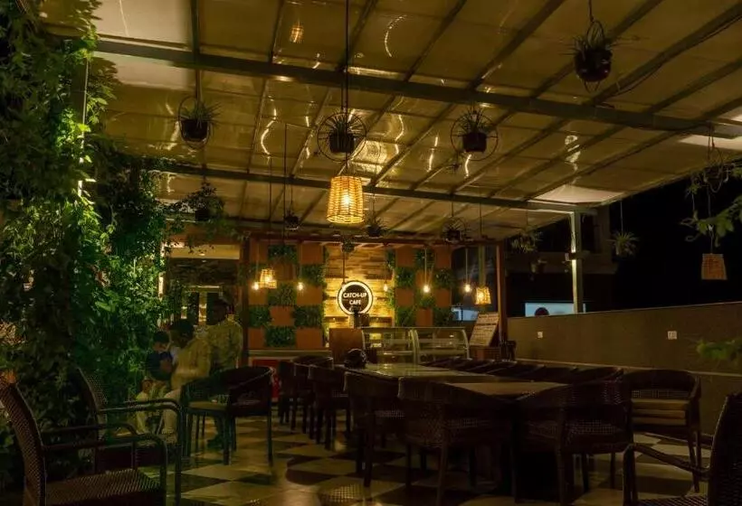 ホテル Palm Resorts