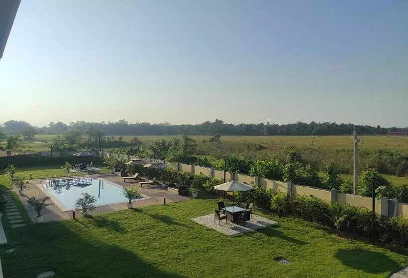 ホテル Palm Resorts