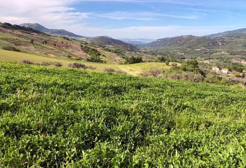 I 3 Falchi Bed & Breakfast