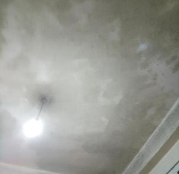 Pensió Greendale Watawala