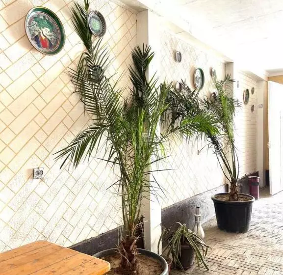Pension  Hello Hostel