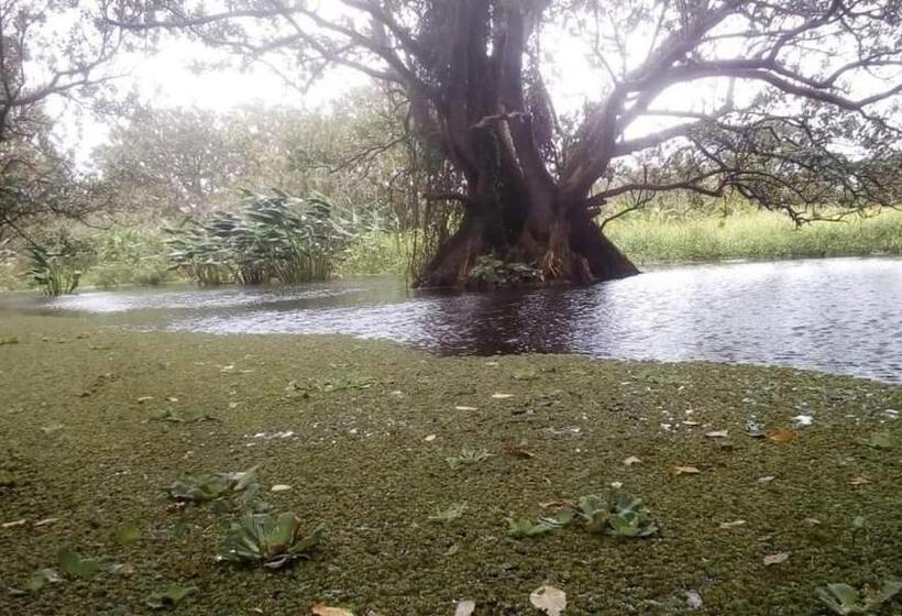 پانسیون Playa Peru Guest House