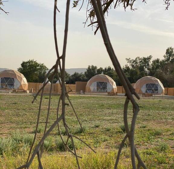منتجع جلامبنغ   Glamping Resort