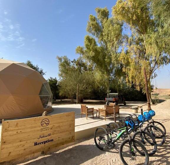منتجع جلامبنغ   Glamping Resort