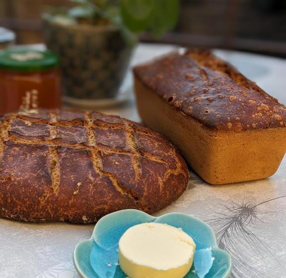 민박 La Grange Symphorine, Chambre D Hôtes De Charme Située Entre La Vallée De La Dordogne Et La Vallée D