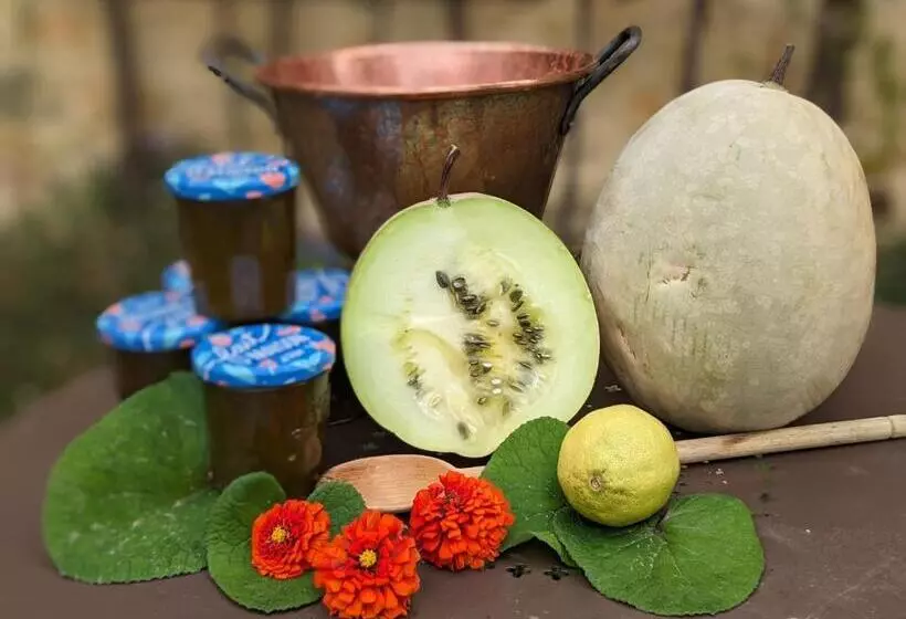 Aamiaismajoitus (B&B) La Grange Symphorine, Chambre D Hôtes De Charme Située Entre La Vallée De La Dordogne Et La Vallée D