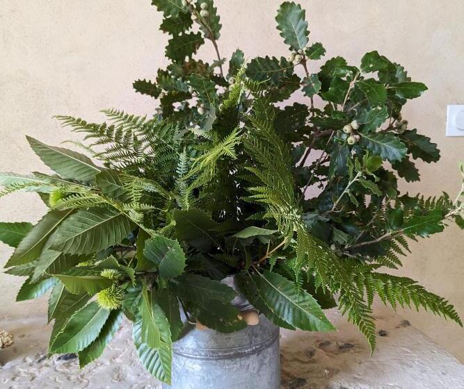 민박 La Grange Symphorine, Chambre D Hôtes De Charme Située Entre La Vallée De La Dordogne Et La Vallée D