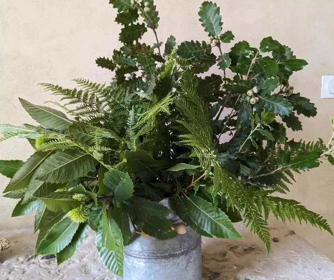 Aamiaismajoitus (B&B) La Grange Symphorine, Chambre D Hôtes De Charme Située Entre La Vallée De La Dordogne Et La Vallée D