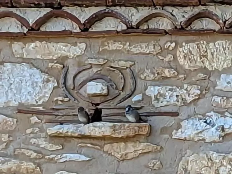 Aamiaismajoitus (B&B) La Grange Symphorine, Chambre D Hôtes De Charme Située Entre La Vallée De La Dordogne Et La Vallée D